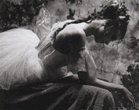 niveaux-de-gris.gif